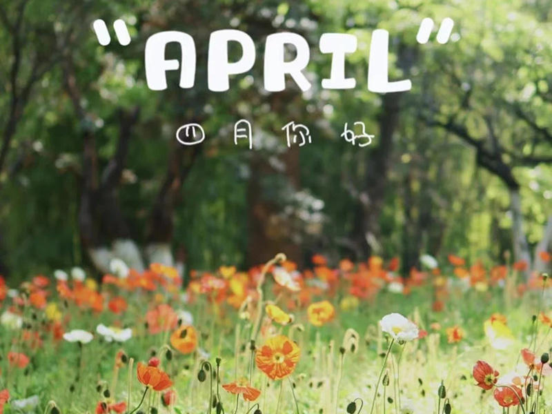 Přání k narozeninám丨Všechno nejlepší k narozeninám těm, kteří se narodili v dubnu